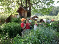 Kinder-Kräutergarten